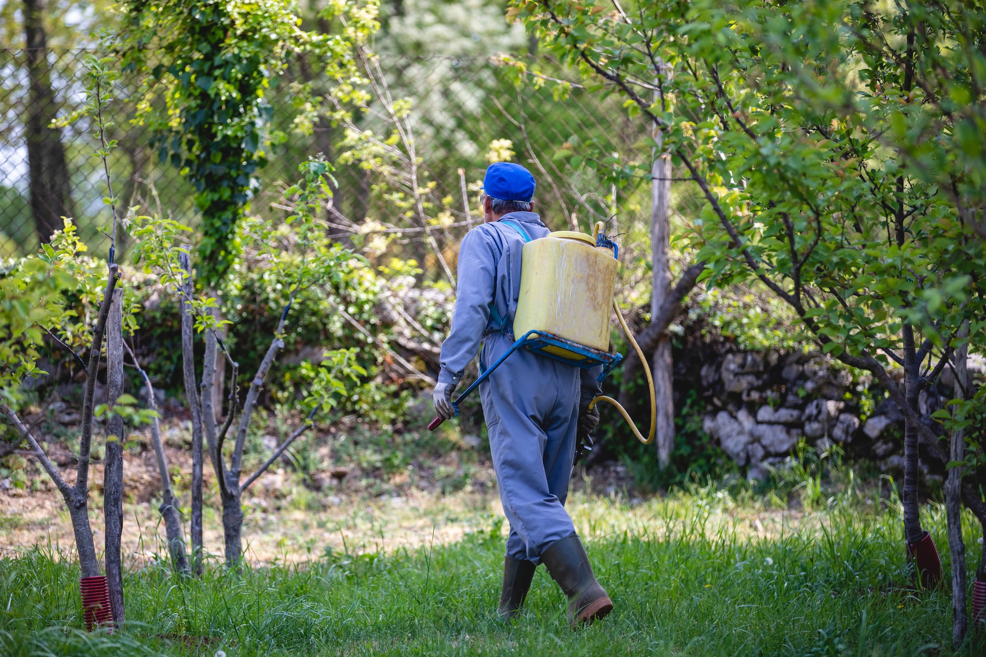 Farmer With Pet Control Equipment Working in Orchard - Stock Photo